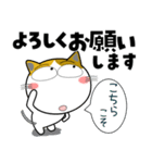 三毛猫★年末年始2026（個別スタンプ：33）