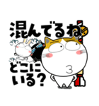 三毛猫★年末年始2026（個別スタンプ：37）