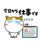 三毛猫★年末年始2026（個別スタンプ：39）