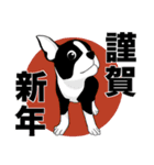 Doggy Daily -new year 01- 2026（個別スタンプ：21）