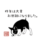 Doggy Daily -new year 01- 2026（個別スタンプ：31）