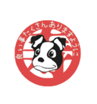 Doggy Daily -new year 01- 2026（個別スタンプ：34）