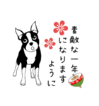 Doggy Daily -new year 01- 2026（個別スタンプ：35）