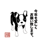 Doggy Daily -new year 01- 2026（個別スタンプ：36）