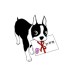 Doggy Daily -new year 01- 2026（個別スタンプ：38）