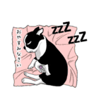 Doggy Daily -new year 01- 2026（個別スタンプ：39）