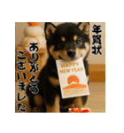 毎年使える♡黒豆柴の年末年始スタンプ（個別スタンプ：3）