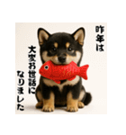 毎年使える♡黒豆柴の年末年始スタンプ（個別スタンプ：5）