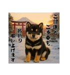 毎年使える♡黒豆柴の年末年始スタンプ（個別スタンプ：11）