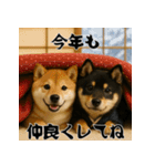 毎年使える♡黒豆柴の年末年始スタンプ（個別スタンプ：13）
