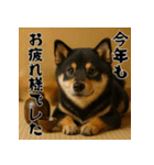 毎年使える♡黒豆柴の年末年始スタンプ（個別スタンプ：15）
