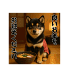 毎年使える♡黒豆柴の年末年始スタンプ（個別スタンプ：18）