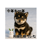 毎年使える♡黒豆柴の年末年始スタンプ（個別スタンプ：19）