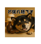 毎年使える♡黒豆柴の年末年始スタンプ（個別スタンプ：25）