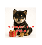 毎年使える♡黒豆柴の年末年始スタンプ（個別スタンプ：26）
