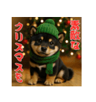 毎年使える♡黒豆柴の年末年始スタンプ（個別スタンプ：27）