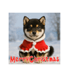 毎年使える♡黒豆柴の年末年始スタンプ（個別スタンプ：28）