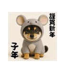 毎年使える♡黒豆柴の年末年始スタンプ（個別スタンプ：29）