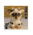 毎年使える♡黒豆柴の年末年始スタンプ（個別スタンプ：30）