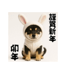 毎年使える♡黒豆柴の年末年始スタンプ（個別スタンプ：32）