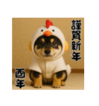 毎年使える♡黒豆柴の年末年始スタンプ（個別スタンプ：38）