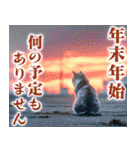 寂しい正月（個別スタンプ：1）