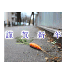 寂しい正月（個別スタンプ：3）