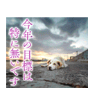 寂しい正月（個別スタンプ：22）