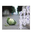 寂しい正月（個別スタンプ：28）