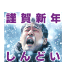 寂しい正月（個別スタンプ：29）