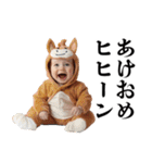 お正月のうざい赤ちゃん【あけおめ・煽り】（個別スタンプ：14）