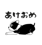 ボストンテリアのお正月2026 -02-（個別スタンプ：1）
