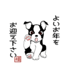 ボストンテリアのお正月2026 -02-（個別スタンプ：5）