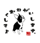 ボストンテリアのお正月2026 -02-（個別スタンプ：7）