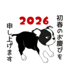 ボストンテリアのお正月2026 -02-（個別スタンプ：11）