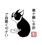 ボストンテリアのお正月2026 -02-（個別スタンプ：13）