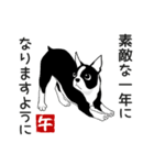 ボストンテリアのお正月2026 -02-（個別スタンプ：14）