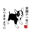 ボストンテリアのお正月2026 -02-（個別スタンプ：21）