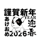 ボストンテリアのお正月2026 -02-（個別スタンプ：30）
