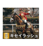 競走馬で祝おう2026年（個別スタンプ：28）