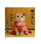 毎年使える♡スコティッシュフォールド正月（個別スタンプ：1）