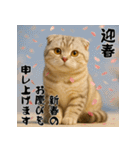 毎年使える♡スコティッシュフォールド正月（個別スタンプ：2）