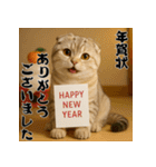 毎年使える♡スコティッシュフォールド正月（個別スタンプ：3）