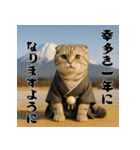 毎年使える♡スコティッシュフォールド正月（個別スタンプ：4）