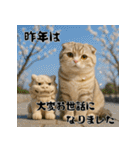 毎年使える♡スコティッシュフォールド正月（個別スタンプ：5）