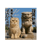 毎年使える♡スコティッシュフォールド正月（個別スタンプ：6）
