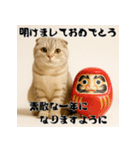 毎年使える♡スコティッシュフォールド正月（個別スタンプ：8）