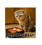 毎年使える♡スコティッシュフォールド正月（個別スタンプ：9）