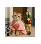 毎年使える♡スコティッシュフォールド正月（個別スタンプ：10）