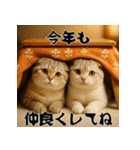 毎年使える♡スコティッシュフォールド正月（個別スタンプ：13）